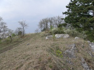 ...vrchol kopca Hegyes domb 262 m.n.m....