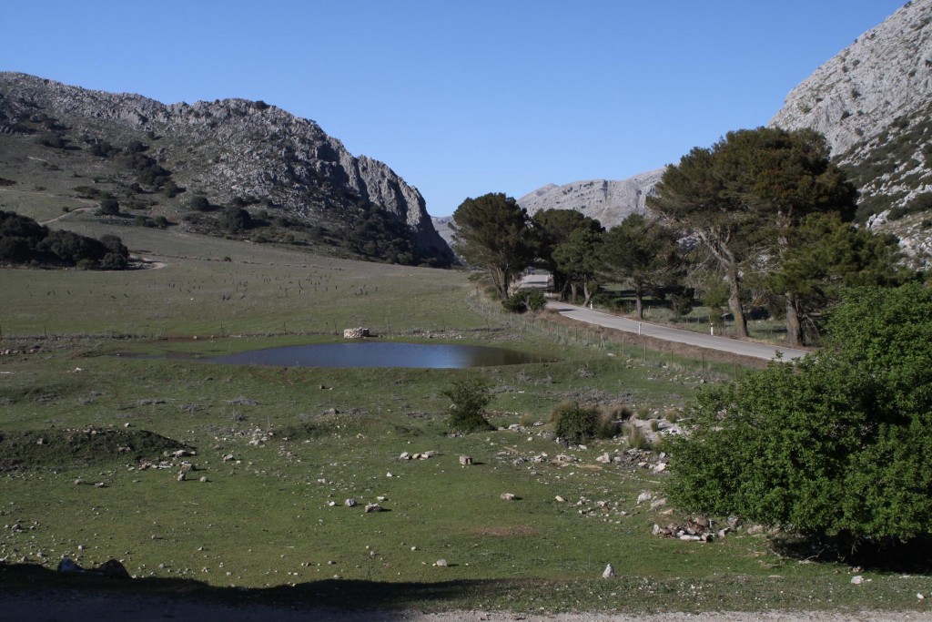 Posledná lokalita, kde by moli byť mloci Triturus pygmaeus, Puerto de los Alazores, 1028 m.n.m.