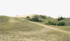  Fülöpháza -piesková duna, vstup je iba na povolenie. 1.5.2004... 