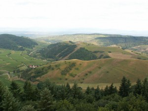 Holé kopce nad dedinou Alt Vogtsburg.