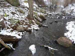 Na miestach, kde stále prúdí voda ( nezamrzá ) a sú veľké kamene je miesto zimovania žiab. Olvár,23.12.2011.
