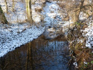 Trebušovský potok, 25.12.2011.