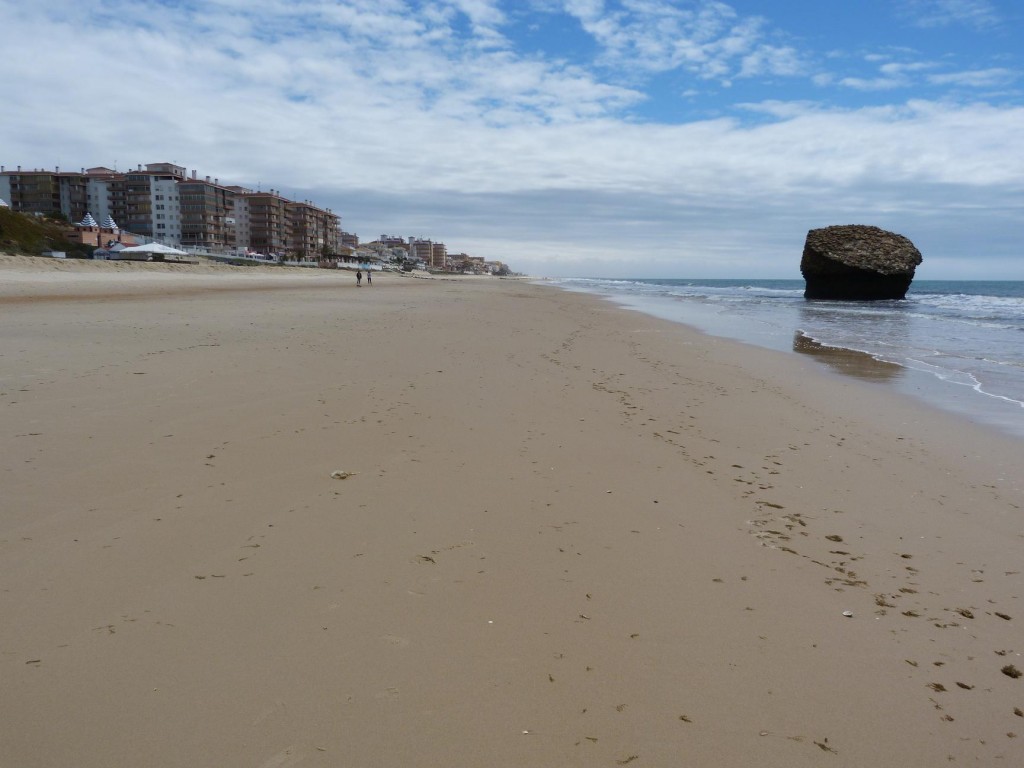 Medzi balvanmi pod hotelmi, smerom k pláži, žili jašterice Podarcis sp. ( carbonelli ?). Kameň vpravo v mori je symbolom mesta Torre de la Higuera