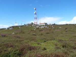 Foia 902 m.n.m. Malá vojenská základňa. keď sme dorazili prehnala sa silná a studená dažďová búrka. Jašterice sme nenašli ani pod kameňmi.