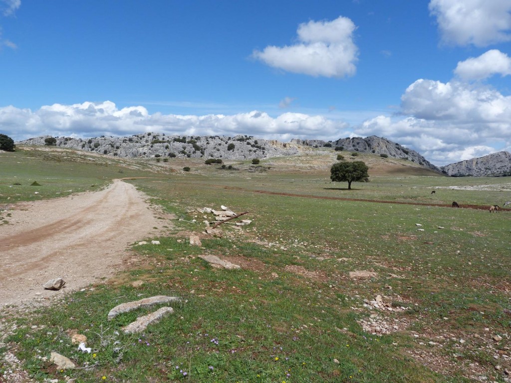 Suchá krajina medzi mestami Ronda a El Burgo na severnej strane pohoria Sierra de las Nieves.