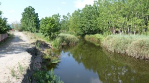 Kanál vedľa kempu, voda nedotekala do mora. Na jeho brehu žili jašertice zelené, vo vode skokani rapotavý. Ünye