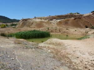 Jazierko asi 6 km na západ od Elche de la Sierra, 03.06.2015, 14:52 hod.	