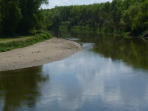 Zákruta rieky Morava po prúde, 07.05.2016, 12.51 hod.