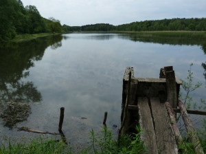 Rybník Dávodi-halastó.