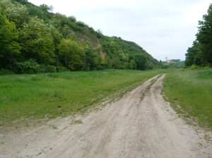 Dunaföldvár, sprašový svah, možná lokalita užoviek kaspických ( Dolichophis caspius ), 10.05.2016.