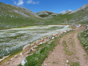 Priehrada na konci údolia plné mlokov a žiab, Púerto de la Cubilla, 29.05.2019, 14:22 hod.