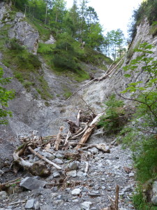 Bočný potôčik Gailbergbachu, lokalita salamandier, 05.07.2019, 06:42 hod.	