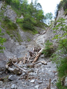 Bočný potôčik Gailbergbachu, lokalita salamandier, 05.07.2019, 06:42 hod.	