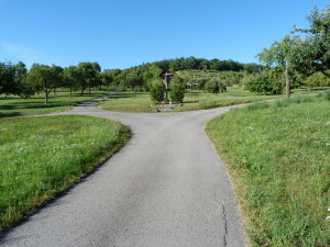 Vinice nad Wendelsheim.