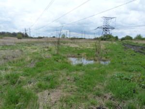 Lokalita 1,5 km východne dediny Zalisky.