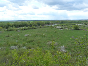 Rovina na západ od dediny Molotiv. 