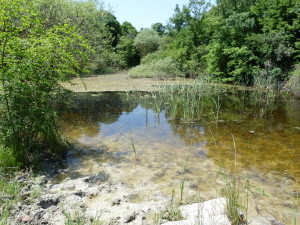 Çerkezköy, jazierko 300 m od diaľnice.