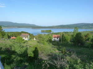 Vlasina Stojkovičeva.