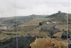 Príroda v Portugalsku! Ľudia sa tu riadia heslom, že všetka pôda musí byť využitá. Kraj nad mestom SABROSA. Kopce majú do 800 m.n.m., 08.05.2002.