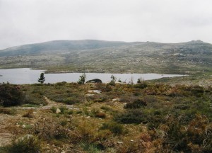 Serra da Estrela, lokalita s vodnou nádržou, miesto odchytu samca Podarcis guadarramae lusitanicus, Natrix maura, Lacerta  schreiberi, 10.05.2002.