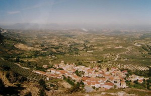 Nedohľadné lány olivovníkov na západ mesta od Cazorla, 14.05.2002. 