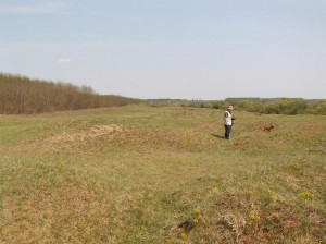 Lokalita Martinka: Úsek, kde je vyrúbaný agát ( vťavo je vidieť mladý agátový les ), vpravo je močiar.