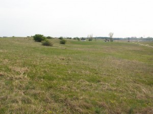Terén pri ceste v prírodnej rezervácii pred dedinou Bagamér. 