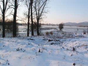 Zimná krajina na lúke západne Ipeľského Predmostia.