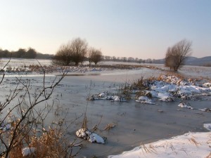 Zimná krajina na lúke západne Ipeľského Predmostia.