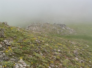 … I tu nás stretla hmla. Toto nie je vhodné stanovište jašteríc. Je tu veľmi otvorená krajina bez úkrytov..