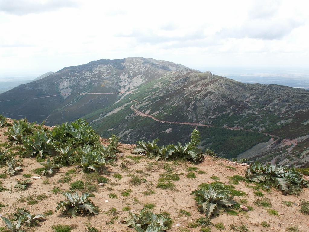 Sierra de la Peňa de Francia, pohľad na sever z vrcholu Buenabarba 1728 m.n.m.