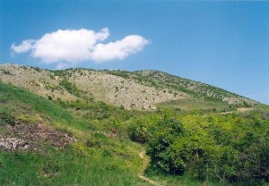 ...Villány-pohľad z juhu na kopec Szársomlyó, lokalita výskytu Coluber caspius, prísně chránena rezervácia , vstup bez povolenia je zakázaný, 29.04.04...